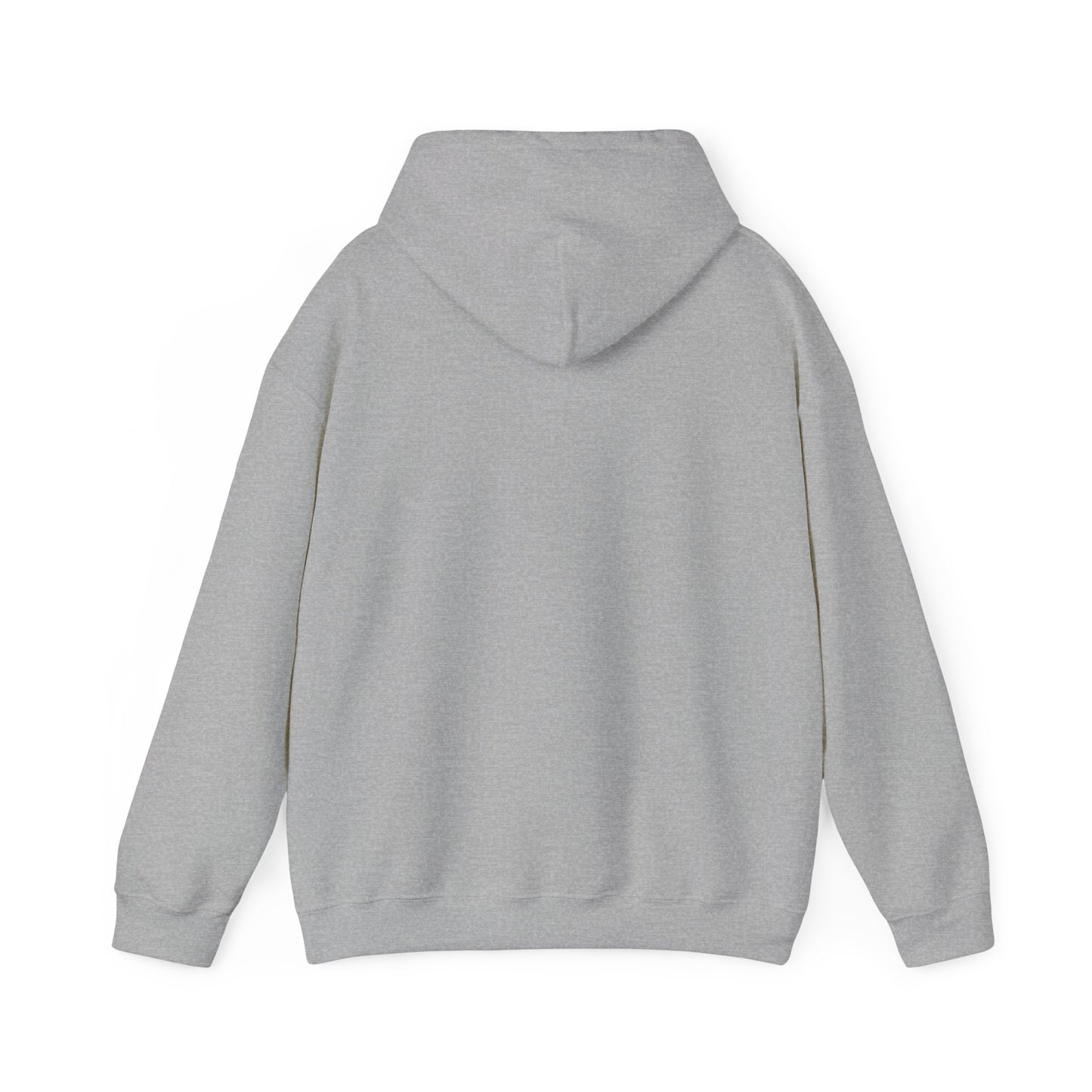 In The Book Aisle -  Hooded Sweatshirt